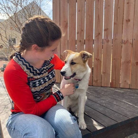 Meet your Posher, Dusty - Picture 1 of 1